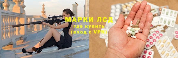 сатива Вязьма