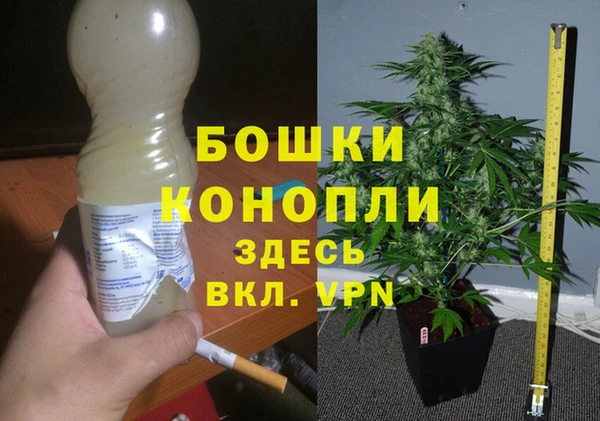 гашик Волосово