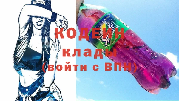 амф Вяземский