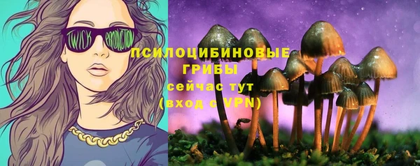 гашик Волосово