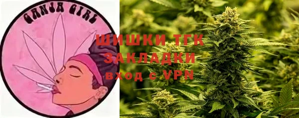 амф Вяземский