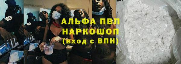сатива Вязьма