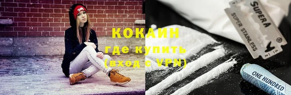 амф Вяземский