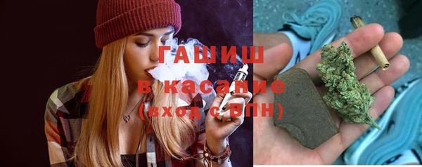 сатива Вязьма
