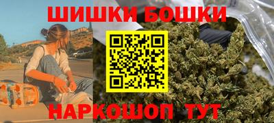 гидра Будённовск