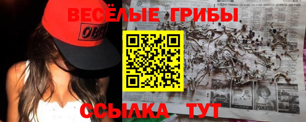 Псилоцибиновые грибы мицелий Воскресенск