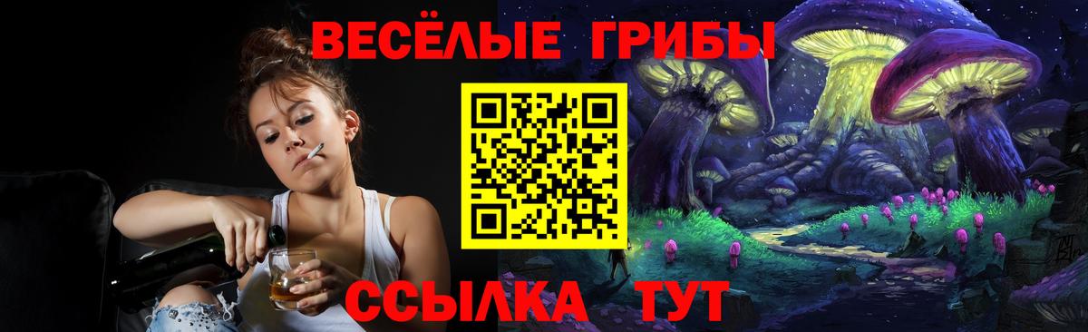 Воскресенск  Галлюциногенные грибы GOLDEN TEACHER  наркошоп  Вход с VPN  Псилоцибиновые грибы мухоморы 